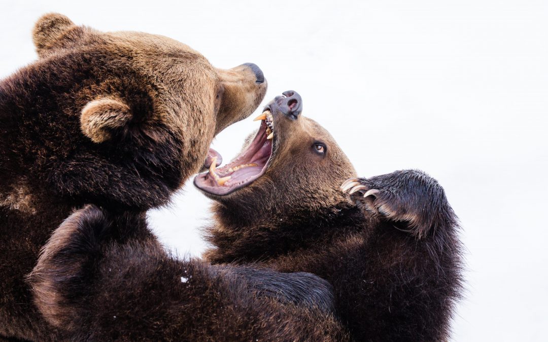 Why the heck You need To Manage Software Vendors?